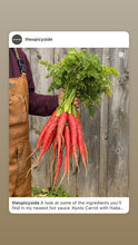 Load image into Gallery viewer, Kyoto Carrot with Habanero and Kambuzi