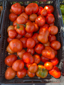 Smaller Tomatoes