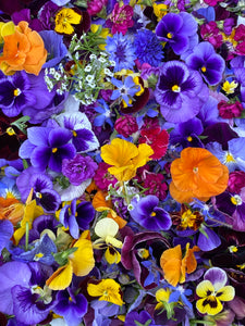 Edible Flower - seasonal blend