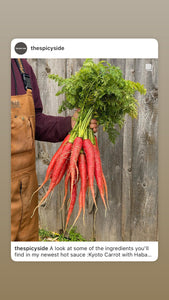 Kyoto Carrot with Habanero and Kambuzi