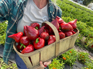 Fresh Pepper Basket