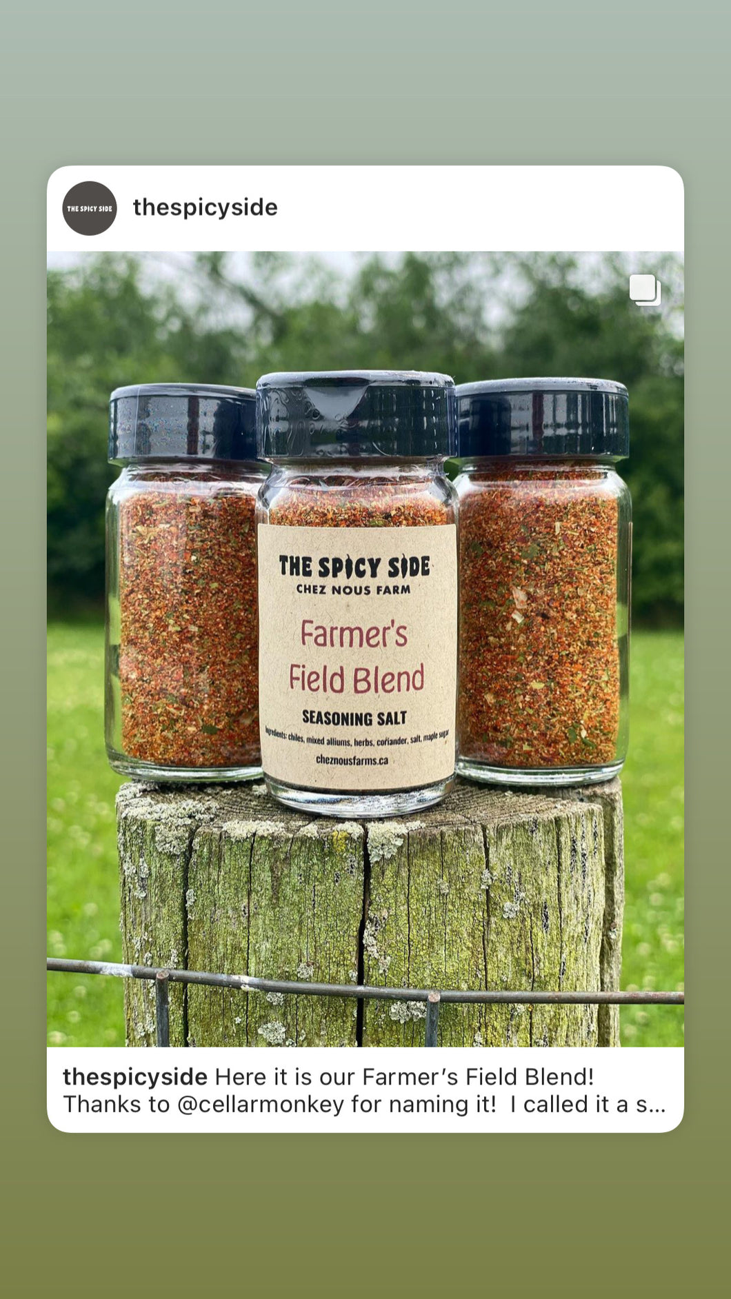 Farmer’s Field Blend Seasoning Salt