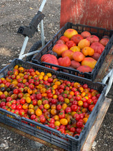 Load image into Gallery viewer, Fresh Pepper Basket
