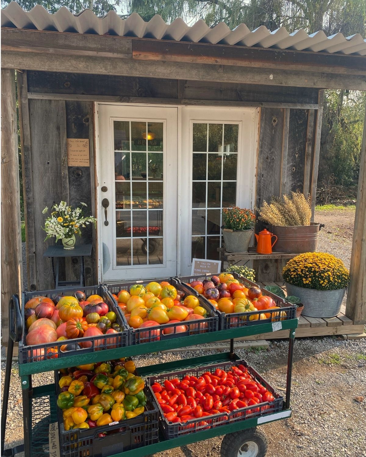 A cart filled with tomatoes and peppers in front of the Chez Nous Farm stand